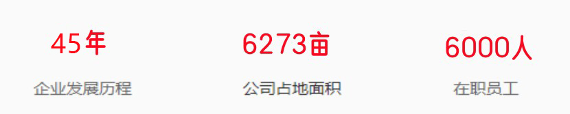 1730705221209150.jpg 35.jpg